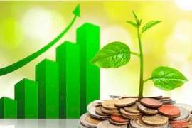 Lịch chốt quyền cổ tức tuần đầu tháng 8: Vinhomes "lăn chốt", cổ tức tiền mặt cao nhất 100%