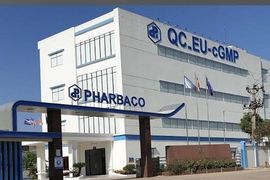 CEO Pharbaco Nguyễn Đình Tuấn bị phạt hơn nửa tỷ đồng vì “mua chui” gần 3,5 triệu cổ phiếu PBC