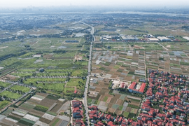 Thị trường đất nền "hạ nhiệt" sau giai đoạn tăng giá kéo dài, giá giảm
