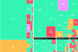 Cặp đôi TCB và TCX tăng tốc nhờ kỳ vọng bán vốn cho đối tác ngoại