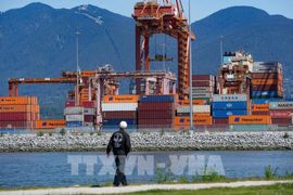 Điểm tin kinh tế Thế giới nổi bật ngày 26/8/2026