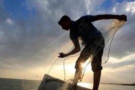 Ai vừa tung hàng trăm tỷ "bắt đáy" PNJ?