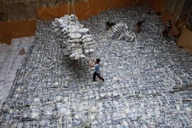 Giá lúa mỳ và gạo châu Á lập đỉnh nhiều năm, cà phê đi ngang