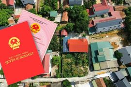 Chính thức từ hôm nay (31/8), loạt quy đinh mới về xử phạt liên quan đến đất đai chính thức có hiệu lực