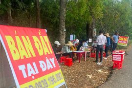 260.000 ‘cò đất’, môi giới tự do đang hành nghề trái luật?