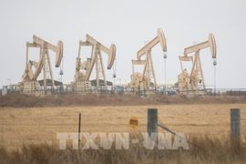 Giá dầu thô giảm hơn 5% khi rủi ro nguồn cung dịu bớt