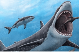 Phiên 5/8: Một cổ phiếu VN30 được khối ngoại mua ròng mạnh tay gần 400 tỷ đồng
