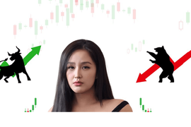 Hoa hậu Mai Phương Thúy từng xuất hiện tại những doanh nghiệp nào?