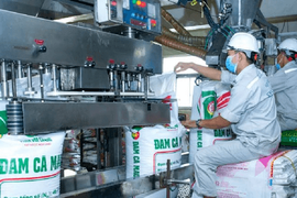 Loạt lãnh đạo Đạm Cà Mau (DCM) nhận thù lao “khủng”, có người bình quân vượt 1 tỷ đồng mỗi tháng