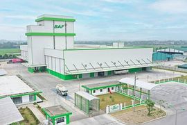 BAF và áp lực huy động vốn trong bối cảnh lợi nhuận đi lùi