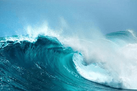 Chuyên gia hé lộ 7 doanh nghiệp có thể đón “sóng” thoái vốn thời gian tới