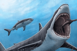 CTCK chỉ ra 6 cổ phiếu “hưởng lợi kép" trước ngày nâng hạng