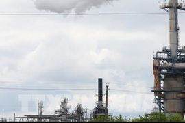 Điểm tin kinh tế thế giới nổi bật ngày 11/9/2026