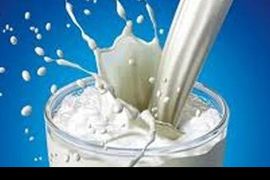 Ngành sữa Australia đạt doanh thu kỷ lục dù sản lượng giảm