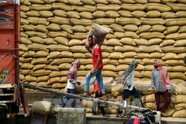 Giá gạo Ấn Độ chạm đỉnh một năm do nỗi lo nguồn cung