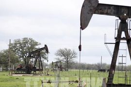 Giá dầu dứt chuỗi tăng do dự trữ của Mỹ tăng mạnh