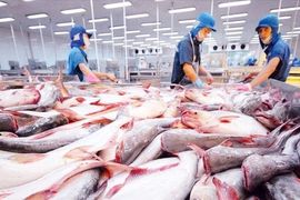 Mặt hàng tỷ đô của Việt Nam gặp ‘cơn bão kép’ tại Mỹ: Xuất khẩu tháng 8 giảm gần 55%, nguy cơ chịu ‘thuế chồng thuế’