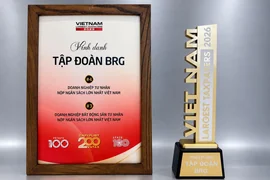 Tập đoàn BRG lọt Top 4 doanh nghiệp tư nhân nộp ngân sách lớn nhất Việt Nam