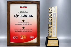 Tập đoàn BRG lọt Top 4 doanh nghiệp tư nhân nộp ngân sách lớn nhất Việt Nam