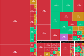 Rung lắc tiếp tục xuất hiện, VN-Index vẫn đóng cửa trên mốc 1.800 điểm