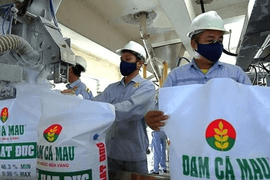 Phó Tổng Giám đốc Đạm Cà Mau (DCM) thôi chức trước thềm ĐHĐCĐ bất thường