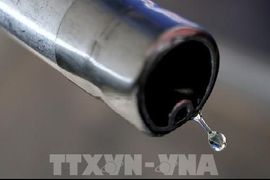 Giá dầu thế giới giảm xuống mức thấp nhất kể từ ngày 9/9