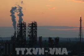 Giá dầu châu Á tăng lần đầu tiên trong 5 phiên