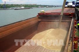 Nga miễn thuế xuất khẩu ngũ cốc đến cuối năm 2026