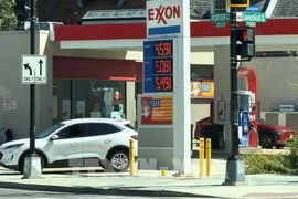 Mỹ xem xét cấm xuất khẩu dầu diesel nhằm hạ giá nhiên liệu