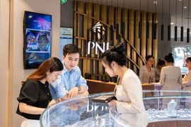 PNJ dự kiến lỗ 6.271 tỷ đồng năm 2026, lên kế hoạch huy động 8.000 tỷ để tái thiết