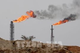 Khả năng Iran mở lại eo biển Hormuz kéo giá dầu WTI giảm khoảng 8%