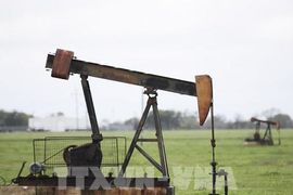 Giá dầu tăng vọt sau khi Mỹ bác đề nghị đình chiến của Iran