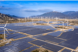 Chủ đầu tư điện mặt trời Trung Nam - Thuận Nam báo lỗ 27,6 tỷ đồng trong nửa đầu năm