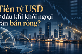 Tiền tỷ USD ở đâu khi khối ngoại vẫn bán ròng?