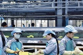 Thaco Agri đã bền bỉ ‘bơm tiền’ cho HAGL Agrico như thế nào?