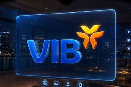 VIB lên kế hoạch phát hành 4.000 tỷ đồng trái phiếu để tăng vốn