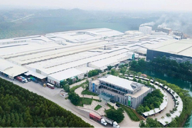 Trước thềm huy động vốn gần 800 tỷ đồng, Amy Grupo của Chủ tịch 75 tuổi báo lãi giảm 13%