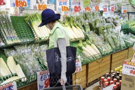 Tiền lương tại Nhật Bản tăng mạnh nhất trong gần 30 năm