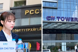 Nhóm CII tiếp tục gom cổ phiếu công ty có nữ Chủ tịch SN 1999, sở hữu lần đầu tiên vượt 13%
