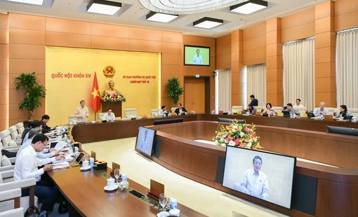 Làm rõ trách nhiệm vụ An Đông và niềm tin nhà đầu tư