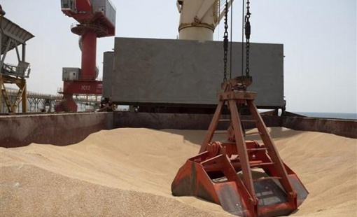 Liên hợp quốc lạc quan về gia hạn thỏa thuận xuất khẩu ngũ cốc qua Biển Đen