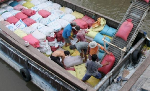 Philippines và Trung Quốc tăng nhập khẩu gạo, thị trường gạo quý cuối năm sẽ nhộn nhịp