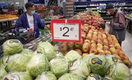 Thâm hụt ngân sách của Canada có xu hướng giảm mạnh