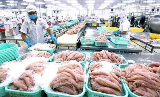 Lạm phát "ghìm cương" tăng trưởng lợi nhuận của doanh nghiệp thủy sản