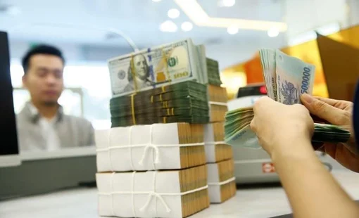 Lãi suất tăng và một bài thử chùn chân của doanh nghiệp Việt tại Mỹ