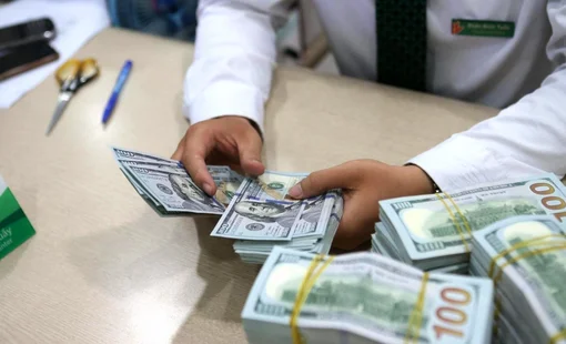 Chuyên gia: Trong ngắn hạn, nới biên độ tỷ giá là phù hợp