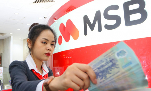 9 tháng đầu năm, CASA MSB tiếp tục trong nhóm đầu thị trường