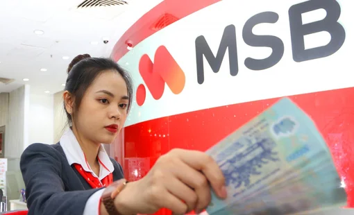 9 tháng đầu năm, CASA MSB tiếp tục trong nhóm đầu thị trường