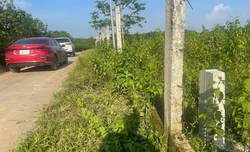 Nhà đầu tư bất động sản nhỏ lẻ “đuối sức”, xuất hiện tình trạng cố rao bán sản phẩm càng nhanh càng tốt