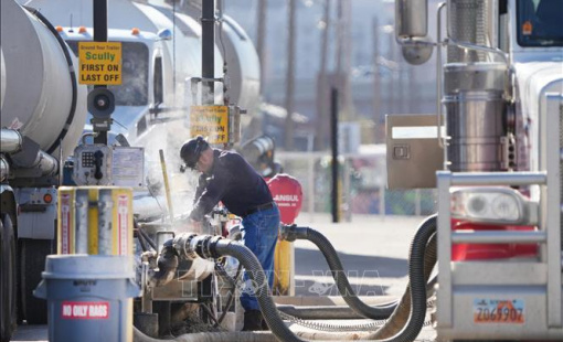 Xuất khẩu dầu của Mỹ sang Pháp lần đầu giảm bằng 0